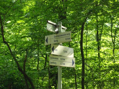 Holiday apartment SaarWeinWald - Environment photo 28