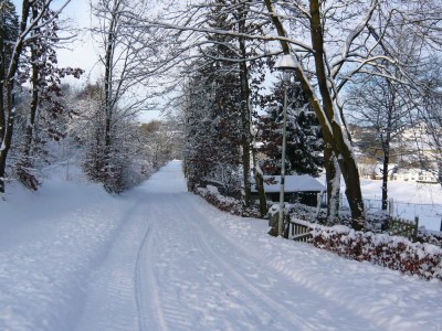 Holiday house "Waldfrieden" - Outdoor photo 7