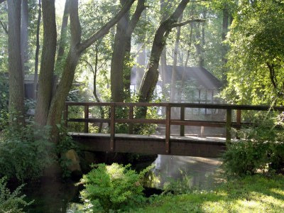 Holiday house "Waldfrieden" - Environment photo 23