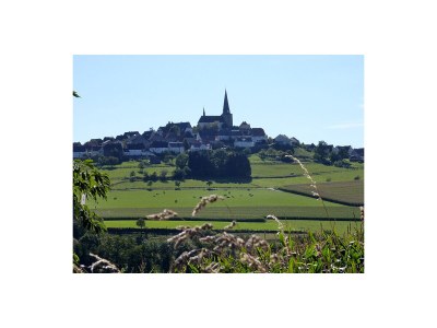 Holiday house "Waldfrieden" - Environment photo 26