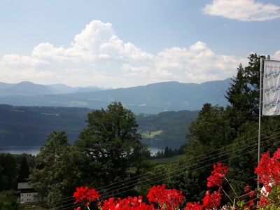 Holiday apartment "Rehsprung" in Haus Fernblick - Outdoor photo 4