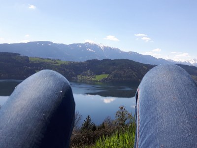 Holiday apartment "Rehsprung" in Haus Fernblick - Outdoor photo 13