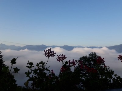 Holiday apartment "Rehsprung" in Haus Fernblick - Outdoor photo 14