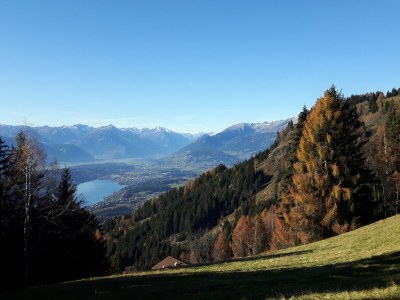 Holiday apartment "Rehsprung" in Haus Fernblick - Environment photo 33