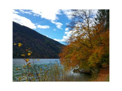 Holiday apartment "Rehsprung" in Haus Fernblick - Environment photo 37