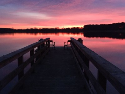 Holiday house 5- Sterne Haus "Fauna" - Environment photo 34