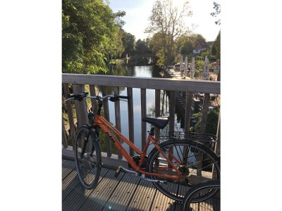 Holiday house 5- Sterne Haus "Fauna" - Environment photo 35