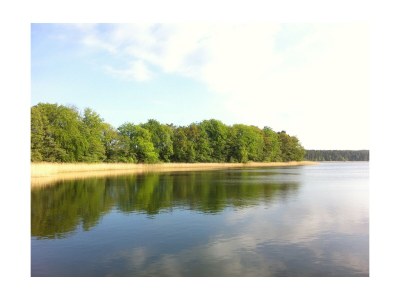 Holiday house 5- Sterne Haus "Fauna" - Environment photo 36