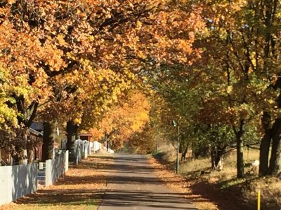 Holiday house 5- Sterne Haus "Fauna" - Environment photo 37