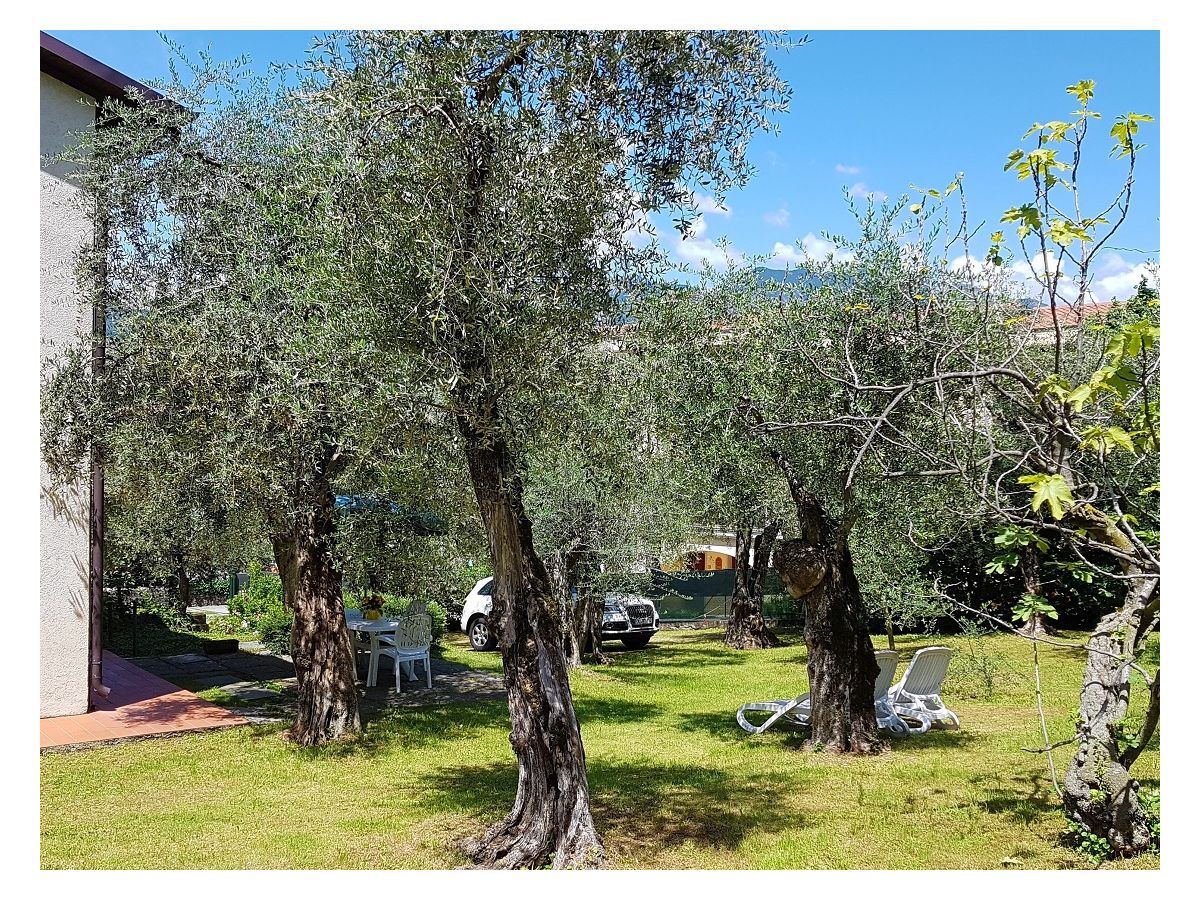 Holiday apartment Laura - Outdoor photo 3