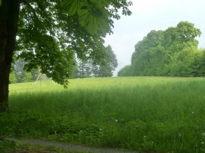 Holiday house Heinle 2 - Environment photo 19