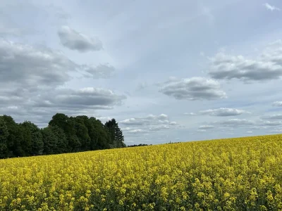 Holiday house Heinle 2 - Environment photo 21