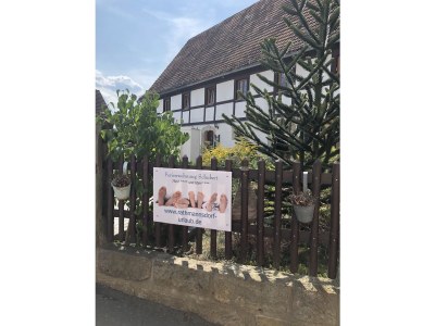 Holiday apartment Schubert on the village pond - Outdoor photo 5