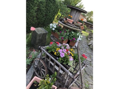 Holiday apartment Schubert on the village pond - Outdoor photo 6