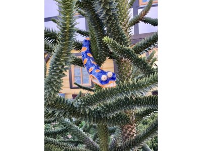 Holiday apartment Schubert on the village pond - Outdoor photo 9