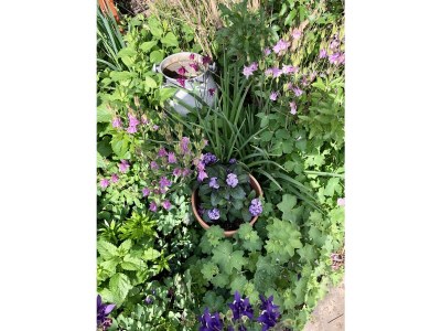 Holiday apartment Schubert on the village pond - Outdoor photo 13