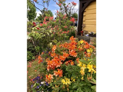 Holiday apartment Schubert on the village pond - Outdoor photo 15