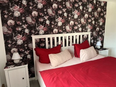 Holiday apartment Schubert on the village pond - Features photo 25