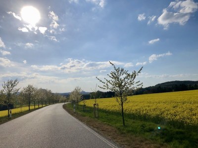 Holiday apartment Schubert on the village pond - Environment photo 40