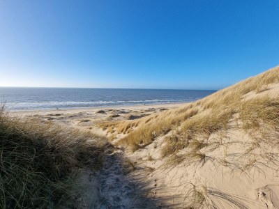 Holiday apartment Sonneduyn 5 - Outdoor photo 6