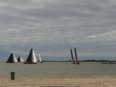 Holiday house Family Beach House P #2-4 - Environment photo 14