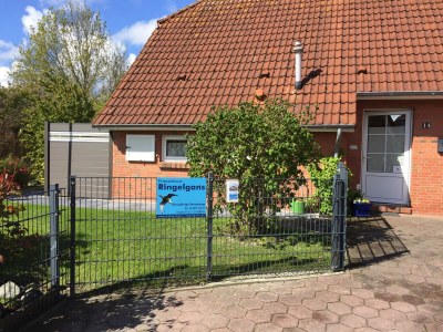 Holiday house Haus Ringelgans - Outdoor photo 3