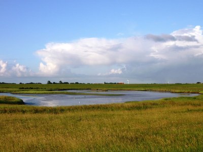 Holiday house Haus Ringelgans - Environment photo 24