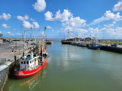 Holiday house Haus Ringelgans - Environment photo 25