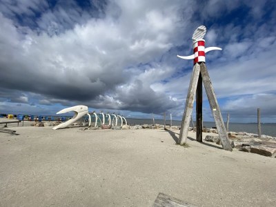 Holiday house Haus Ringelgans - Environment photo 34