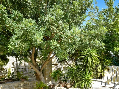 Villa Chrissie-Marie - Outdoor photo 7