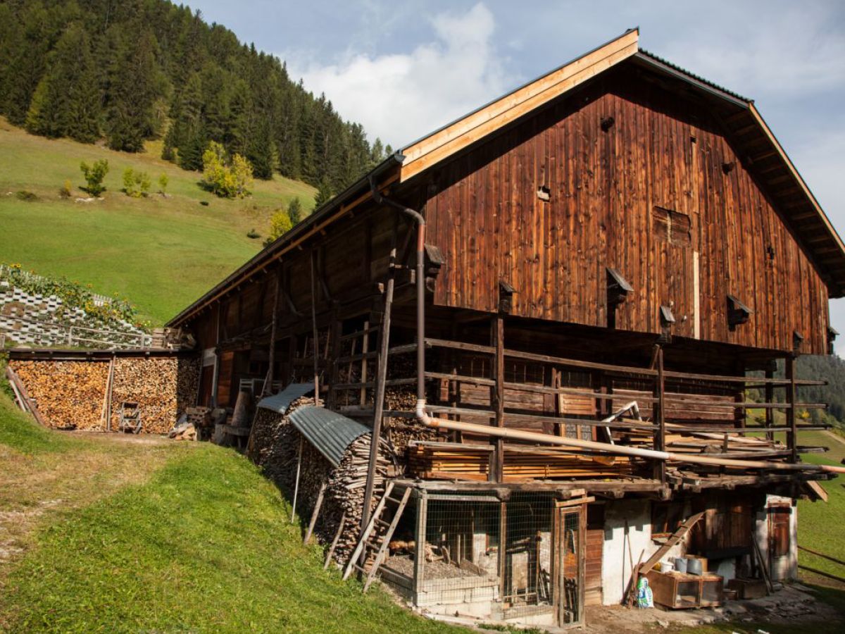 Holiday apartment Pütia - Outdoor photo 5