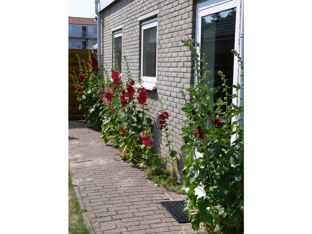 Holiday apartment de Bakker - Outdoor photo 2