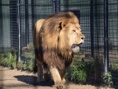 Holiday apartment de Bakker - Environment photo 19