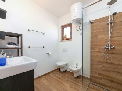 Villa Grebac - Features photo 18