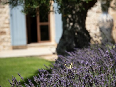 Holiday house Modern, lovingly decorated holiday house with large garden and pool - 687 UZE - Outdoor photo 6