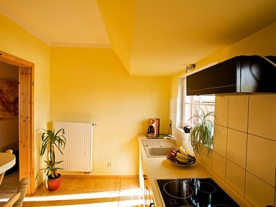 Holiday apartment "Seepferdchen" at Villa Seenland" - Features photo 8