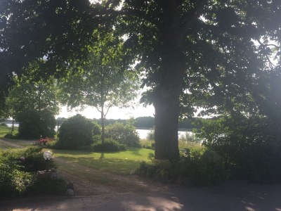 Holiday apartment Ferienwohnung Hof Junge - Environment photo 14