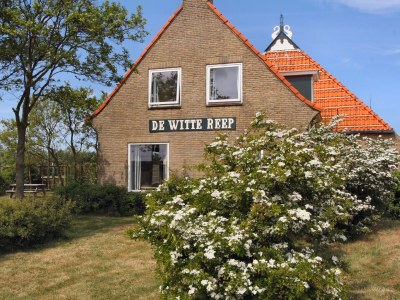 Holiday house Das Wohnhaus in Hollum Ameland - Holiday house