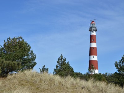 Holiday house Das Wohnhaus - Environment photo 11