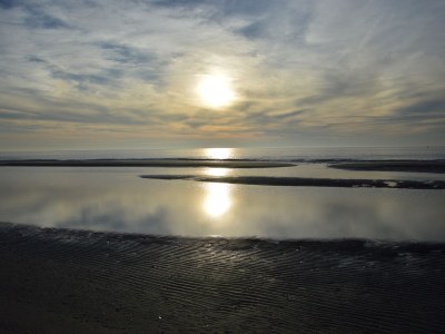 Holiday house Das Wohnhaus - Environment photo 12