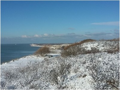 Holiday apartment 2DL - Environment photo 22