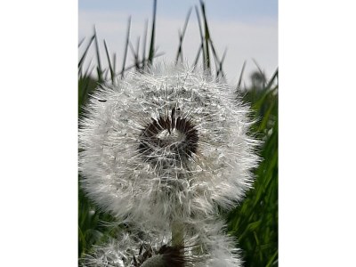 Holiday apartment 2DL - Environment photo 26