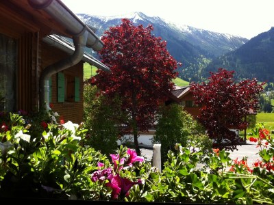 Holiday apartment Ellinger Nr. 3 - Outdoor photo 2