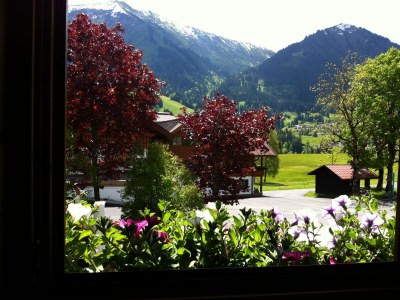 Holiday apartment Ellinger Nr. 3 - Environment photo 15