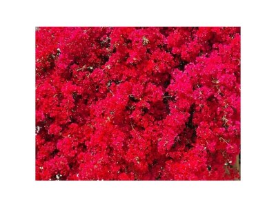 Villa Casa Mirari - Outdoor photo 13