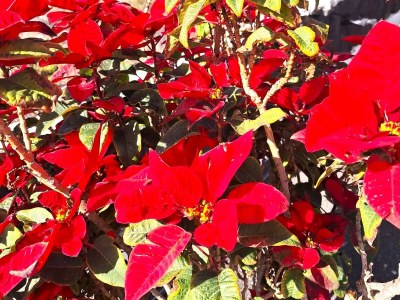 Villa Casa Mirari - Outdoor photo 14