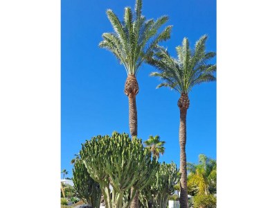 Villa Casa Mirari - Outdoor photo 16