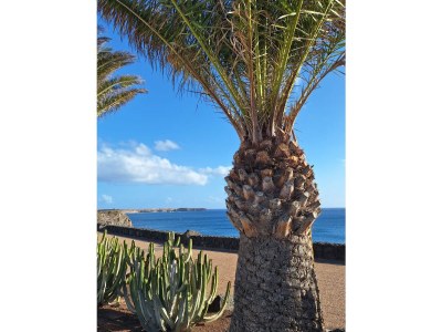 Villa Casa Mirari - Environment photo 39