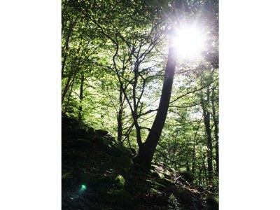 Holiday house Ferienhaus Sonneneckchen - Environment photo 12