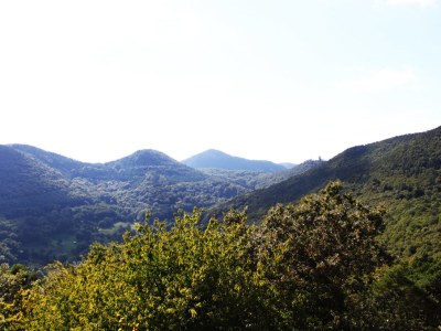 Holiday house Ferienhaus Sonneneckchen - Environment photo 13